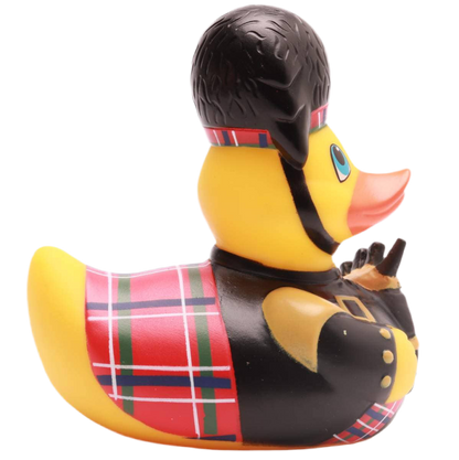 Canard Écossais