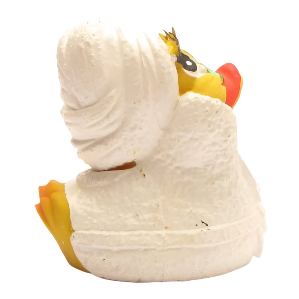 Duck Wellness