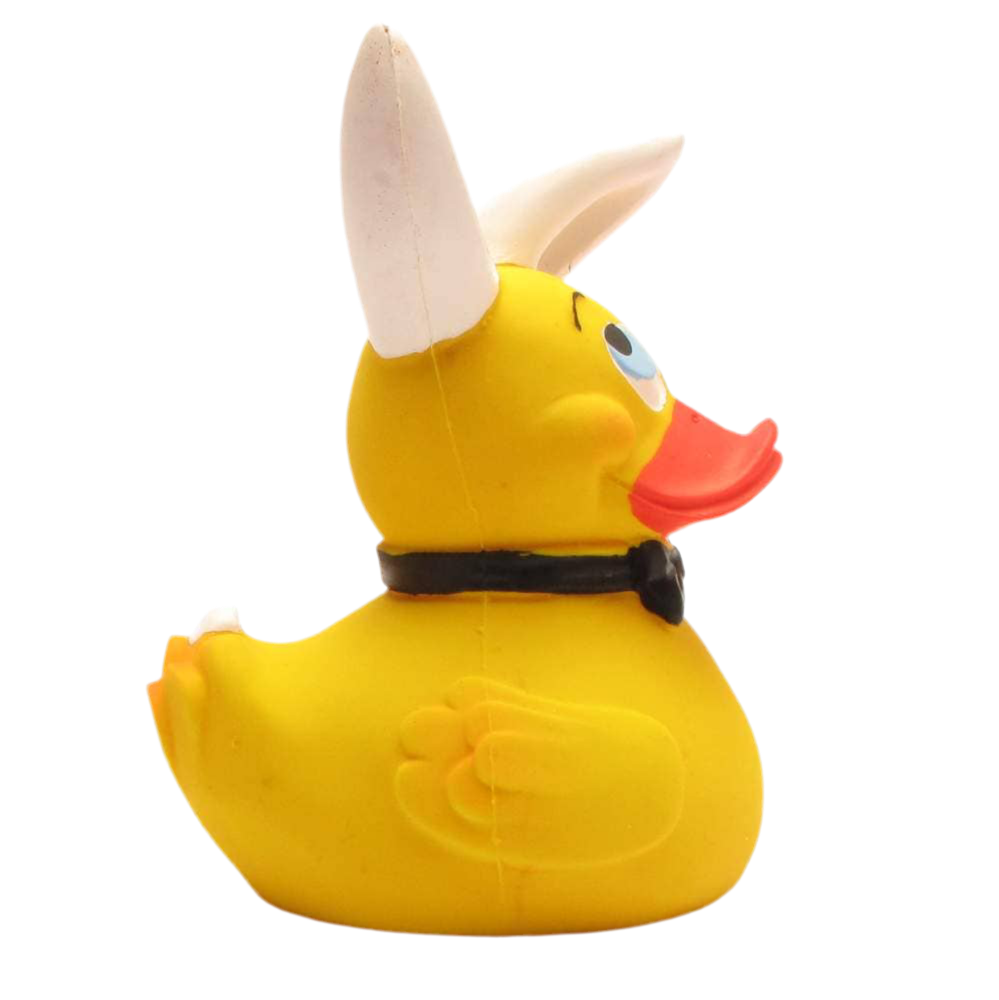 Entenhase