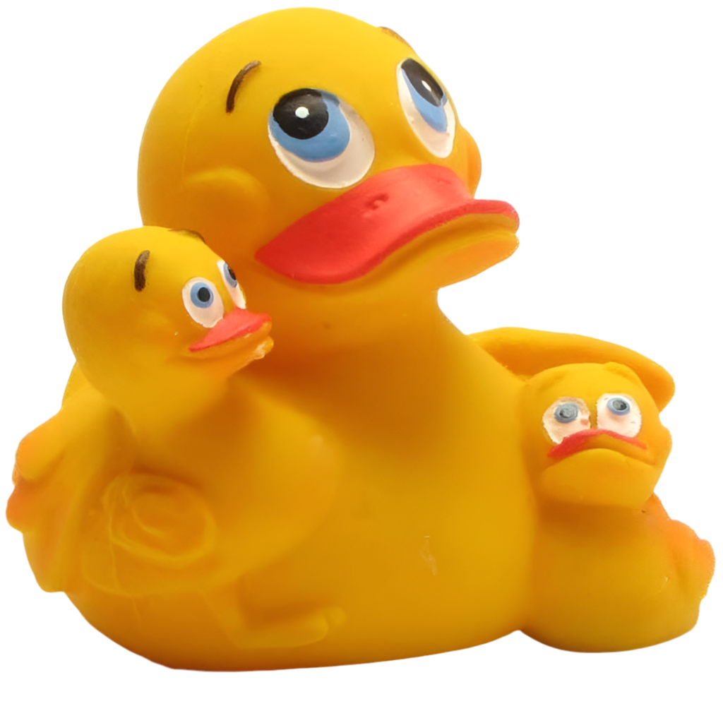 Duck Mom