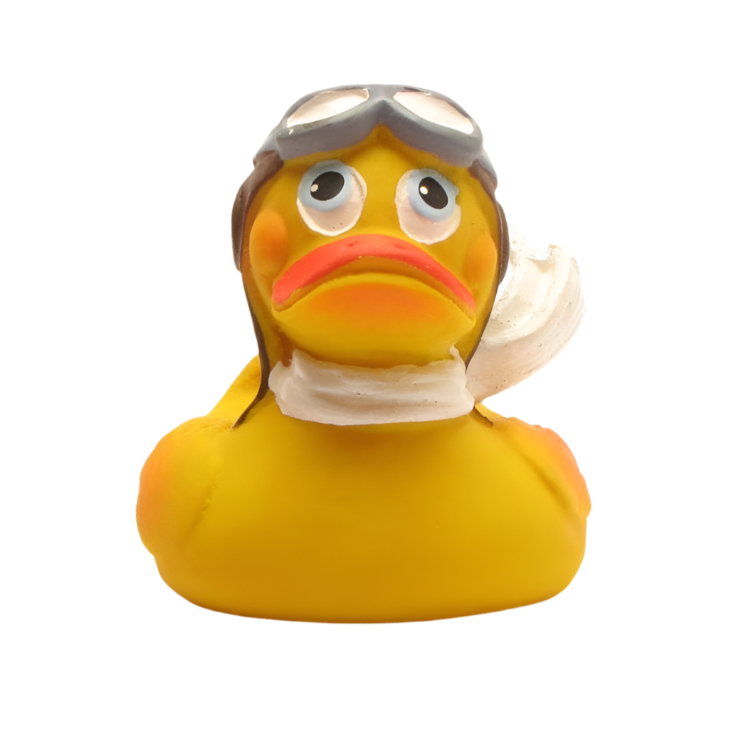 Canard Aviateur