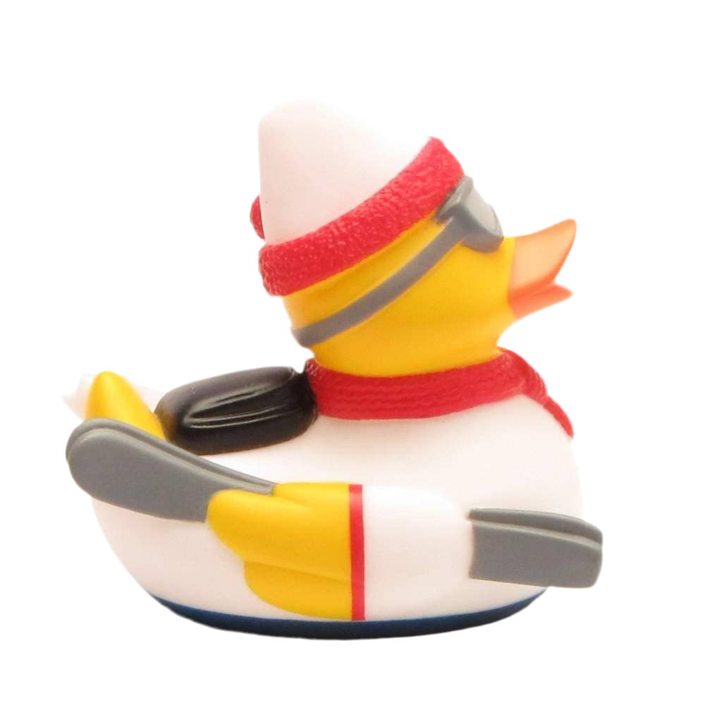 Skiing Duck