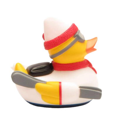 Skiing Duck