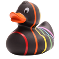 Klassische schwarze Regenbogenente