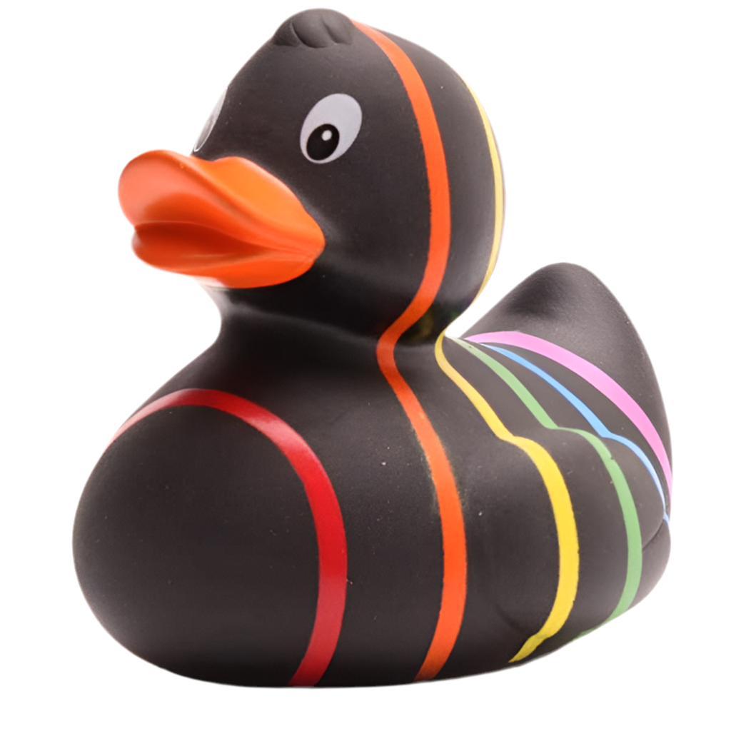 Klassische schwarze Regenbogenente