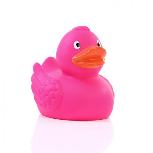 canard-fuchsia-schnabels