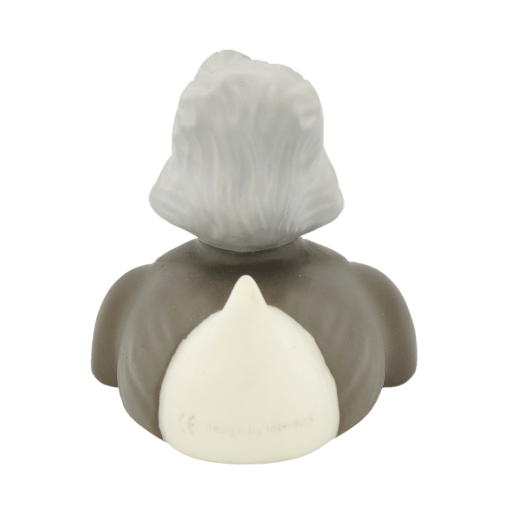 canard-albert-duckstein-interduck