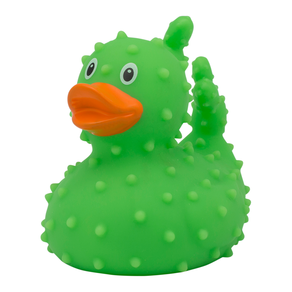 canard-cactus-lilalu