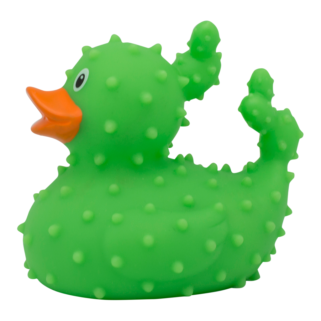 canard-cactus-lilalu