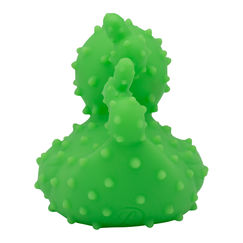 canard-cactus-lilalu