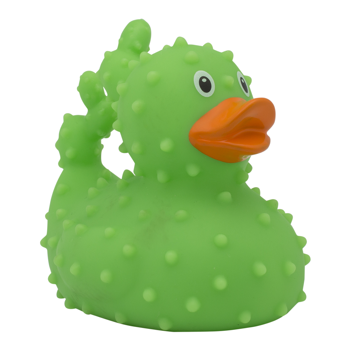 Kaktus-Ente