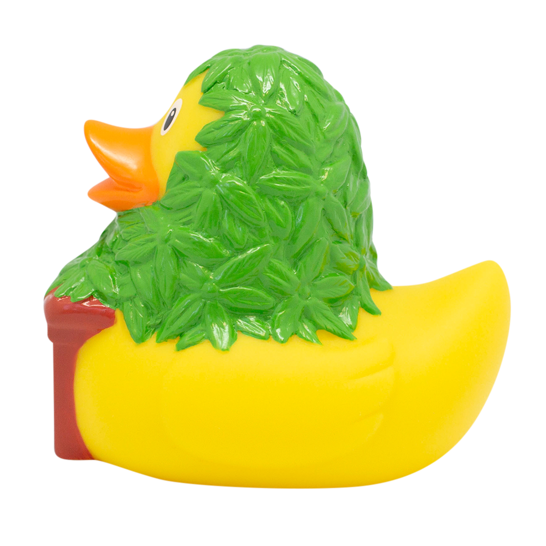 Canard Cannabis