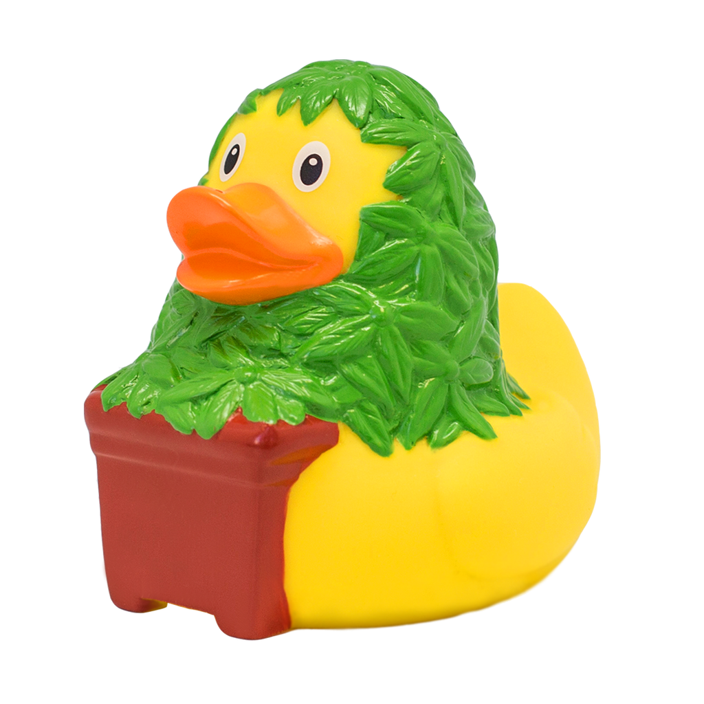 Cannabis Duck