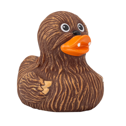 Canard Chewie