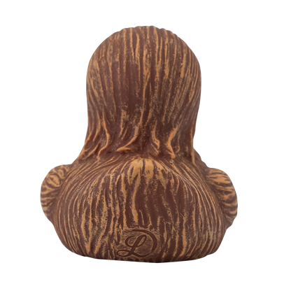 Canard Chewie