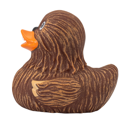 Canard Chewie