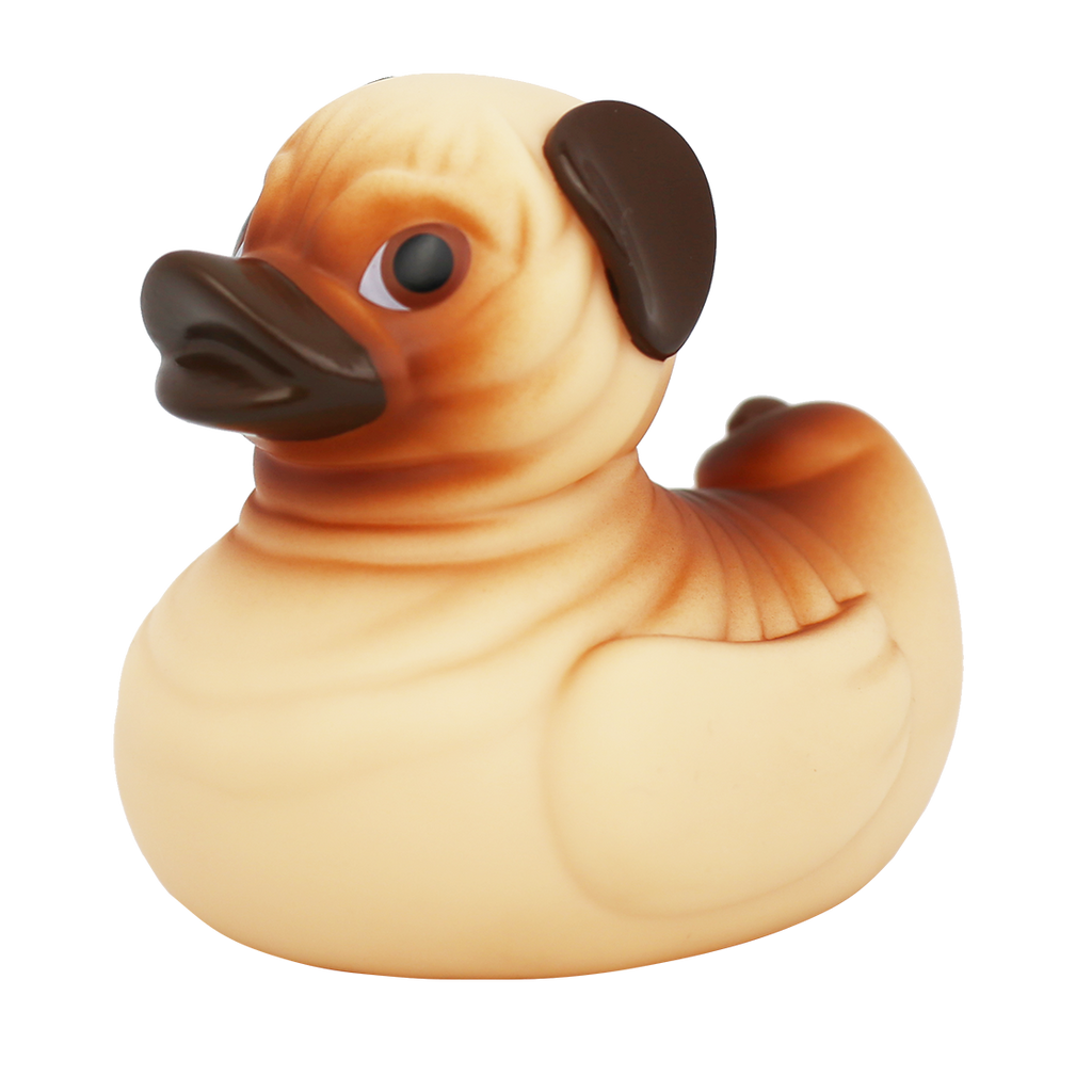 Pug Duck