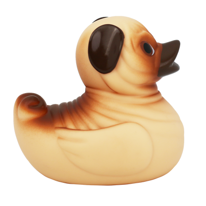 Pug Duck