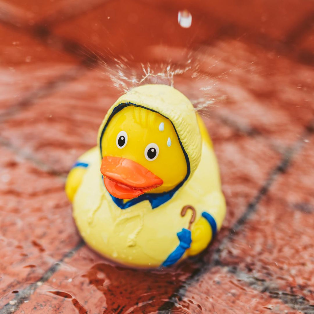 canard-mauvais-temps-schnabels