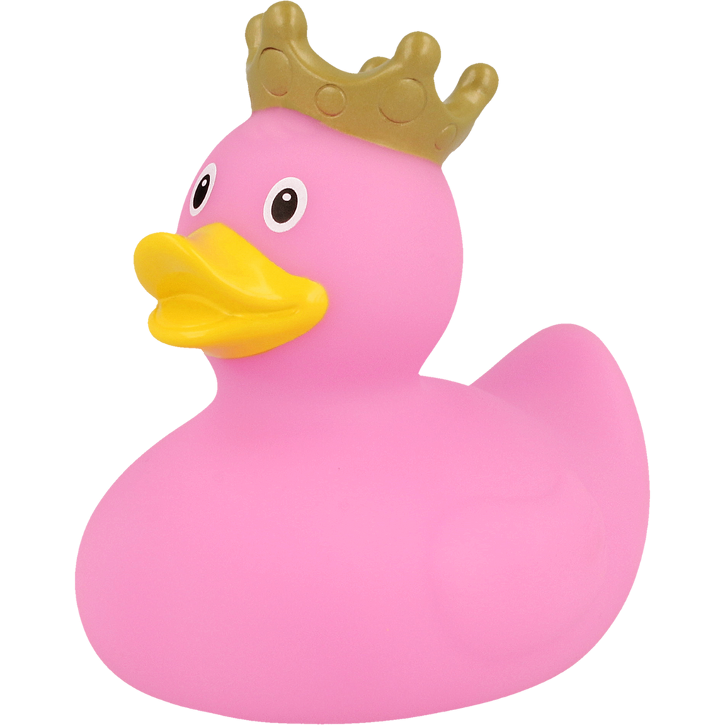 Pink Crown Duck