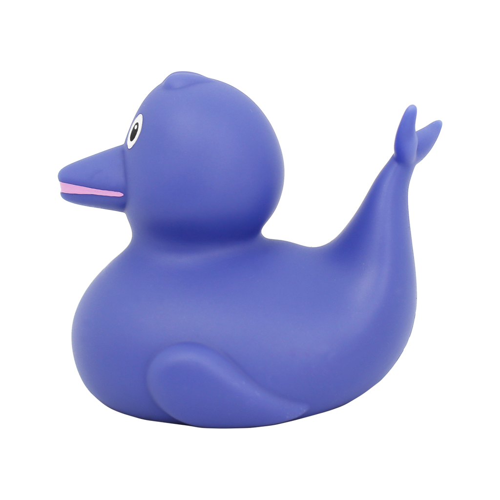 Dolphin Duck