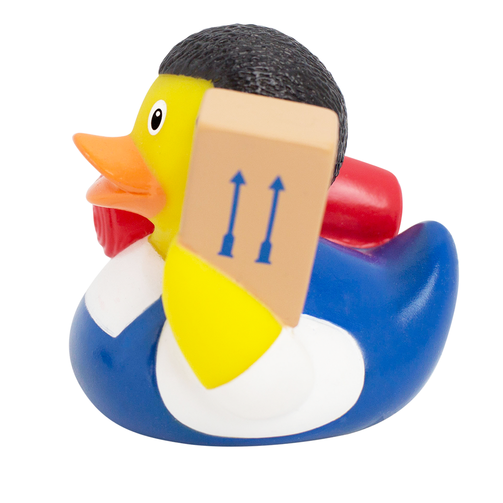 canard-demenageur-lilalu