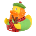 Scottish duck