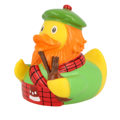 Scottish duck