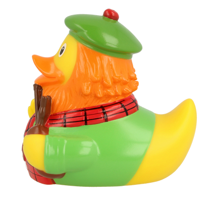 Scottish duck