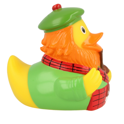 Scottish duck