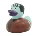 Canard Frankenstein
