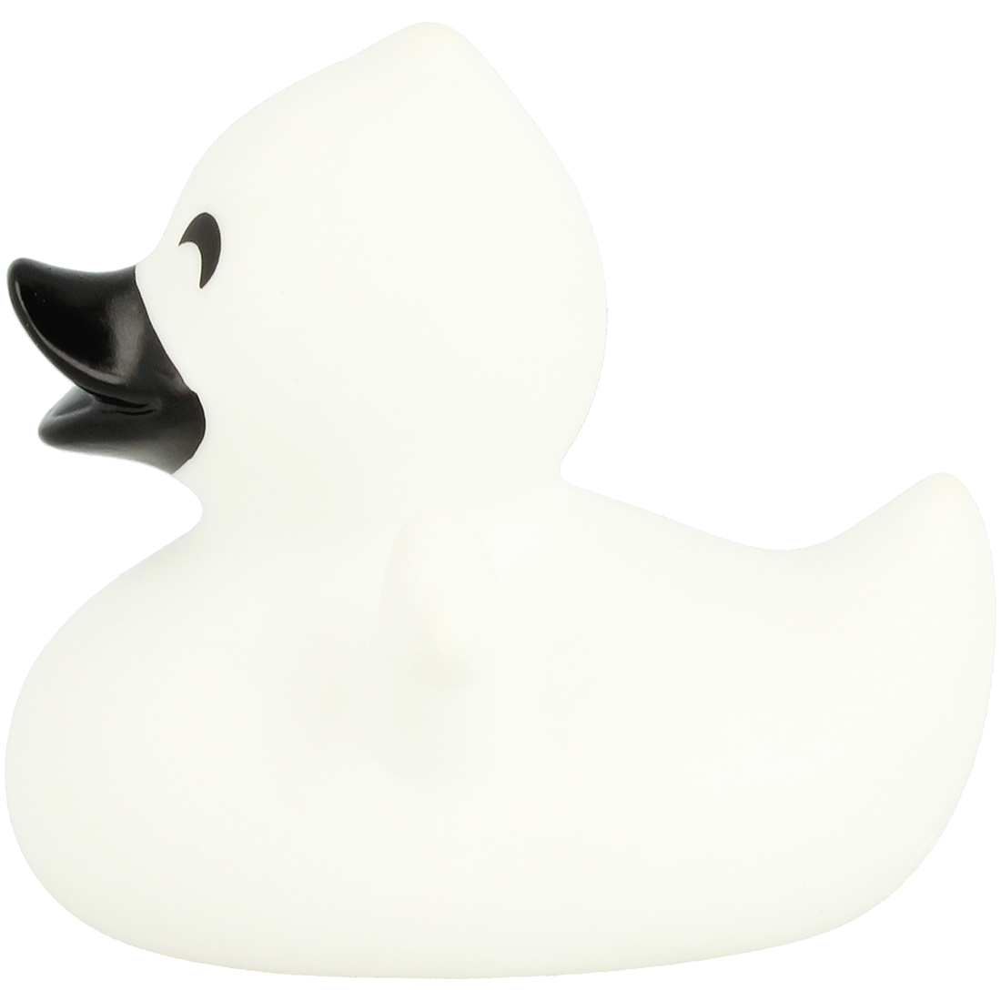 Ghost duck