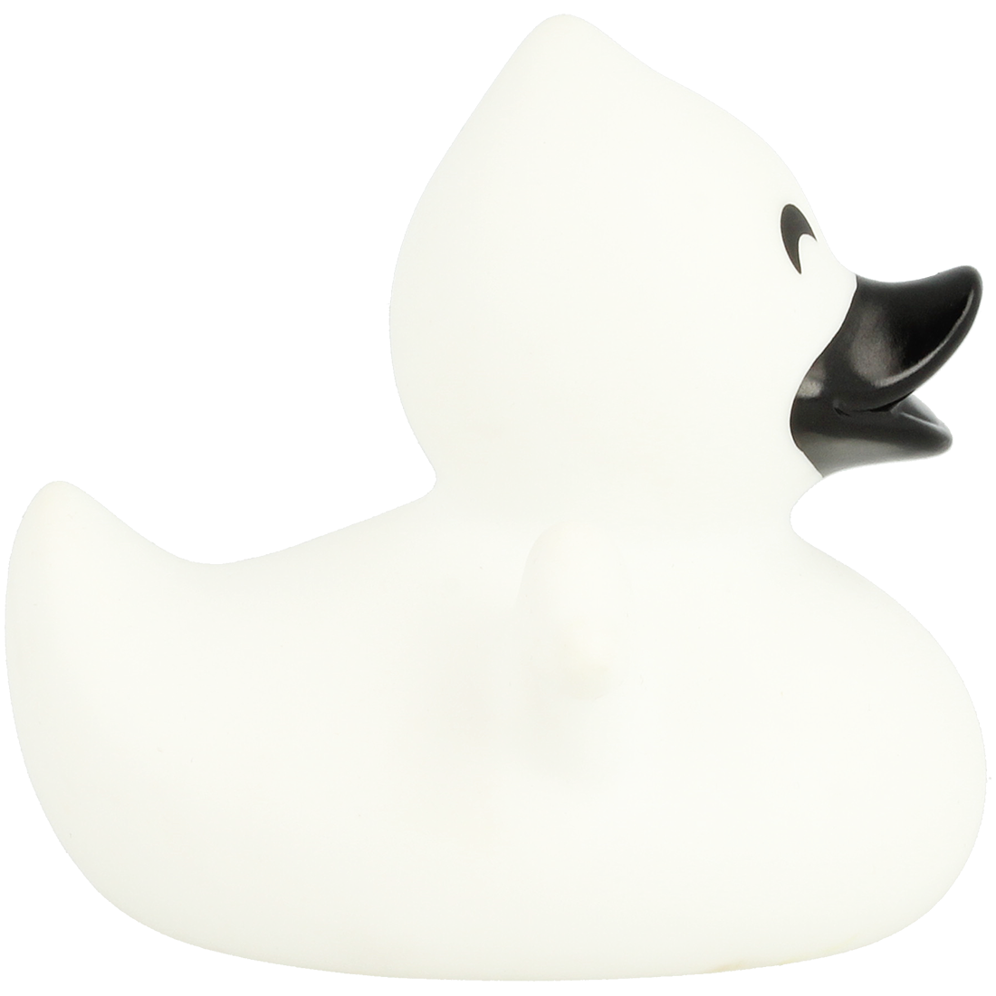 Ghost duck