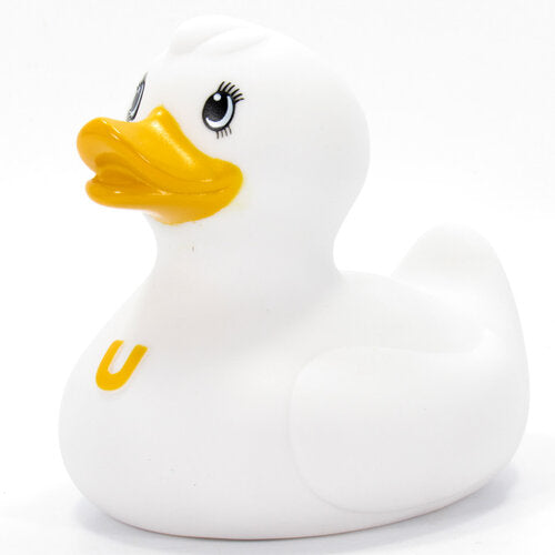 canard-fluffy-bud-duck