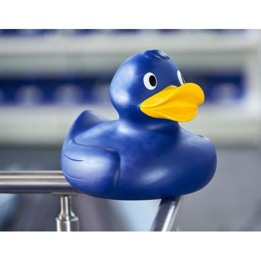 XXL pool blue duck