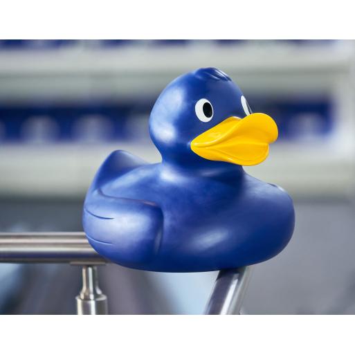 canard-geant-bleu-de-piscine-xxl-schnabels