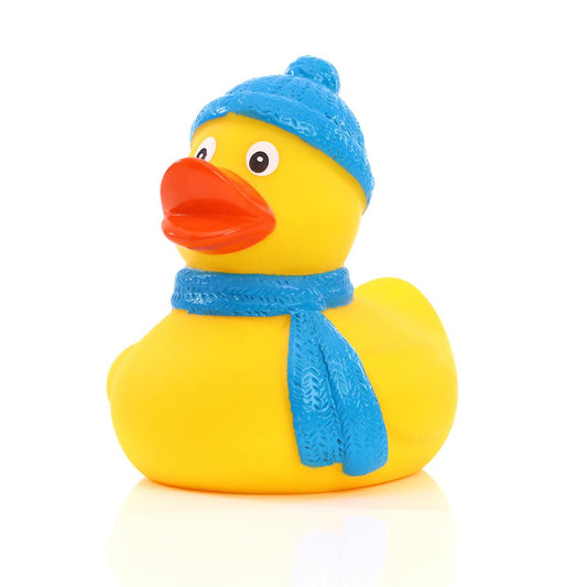 Winter duck