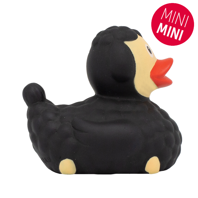 mini-canard-mouton-noir-lilalu