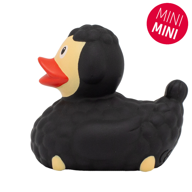 mini-canard-mouton-noir-lilalu