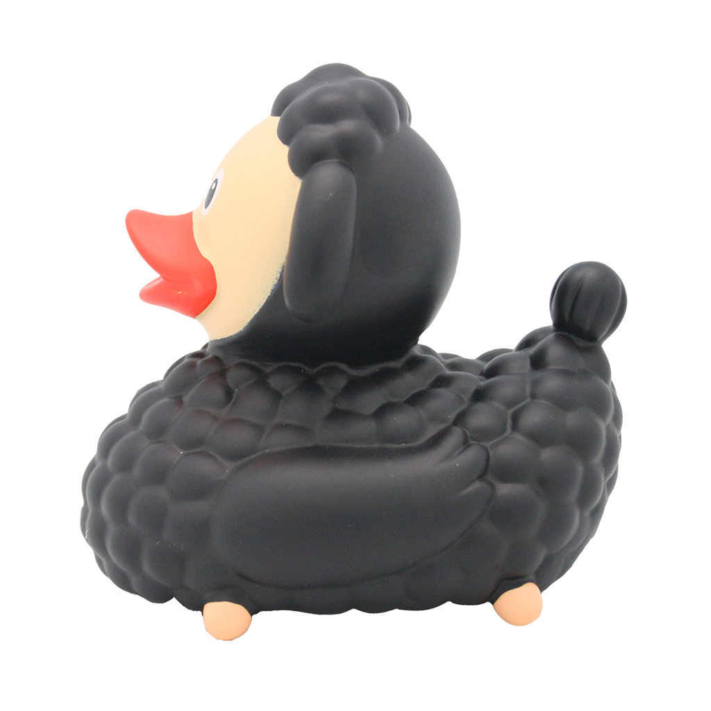 canard-mouton-noir-lilalu