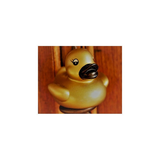 Kleine goldene Ente