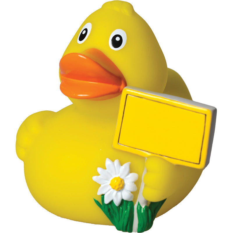 canard-panneau-ville-schnabels