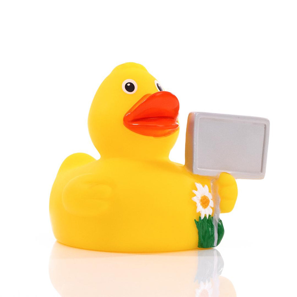 canard-panneau-ville-schnabels