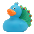 Canard Paon Lilalu - vue 1