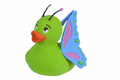Butterfly Duck
