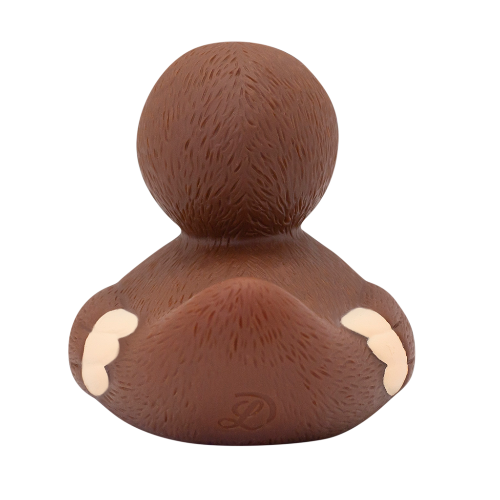 canard-paresseux-lilalu