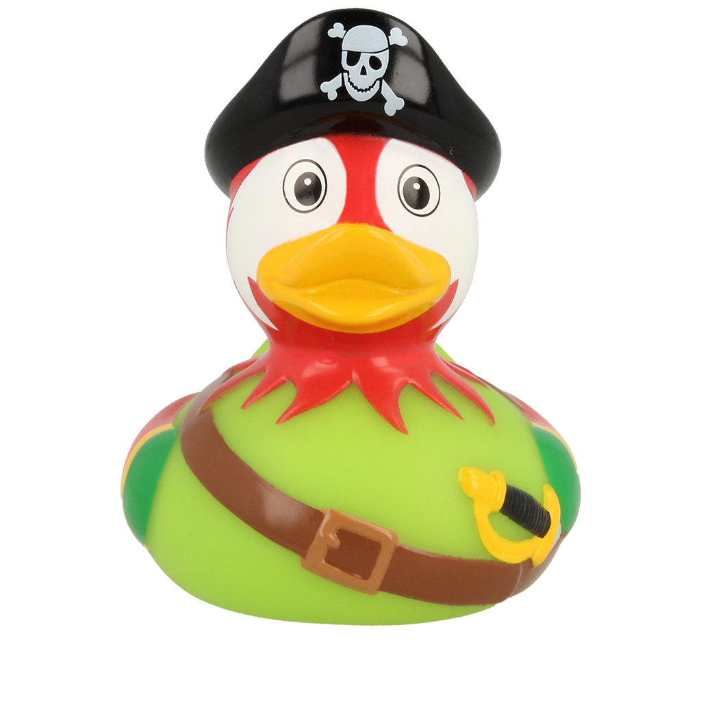 Duck pirate parrot