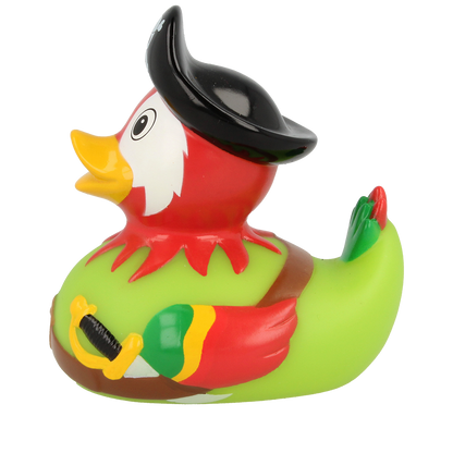 Duck pirate parrot