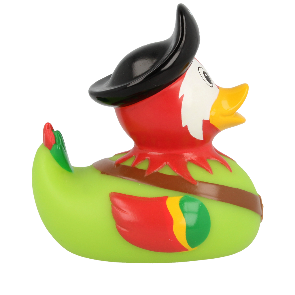 Duck pirate parrot