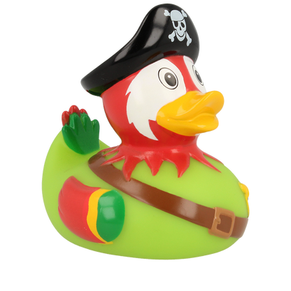 Duck pirate parrot